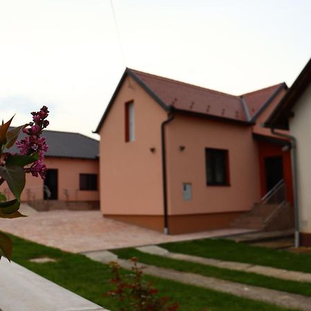 Agroturizam Opg Jakopovic Caglin Esterno foto